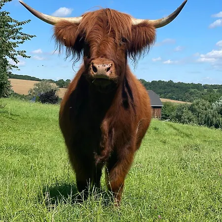 Gebirgsglück Ferienhaus Dippoldiswalde