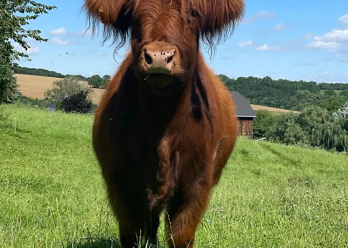 Gebirgsglueck Feriehus Dippoldiswalde