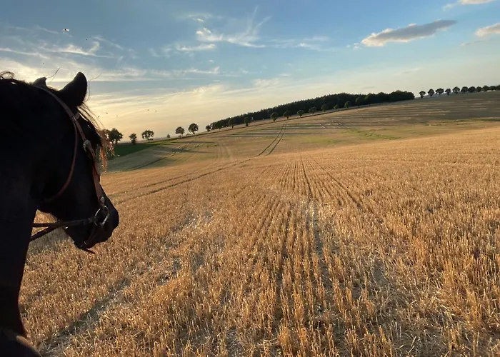 Gebirgsglueck Feriehus